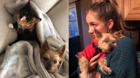 Tyrone cuddling Luna because he is cold; Tyrone being cuddled by his human cousin, Gabi, because he is cold.